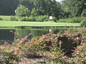 Bay Pointe Resort and Golf Club